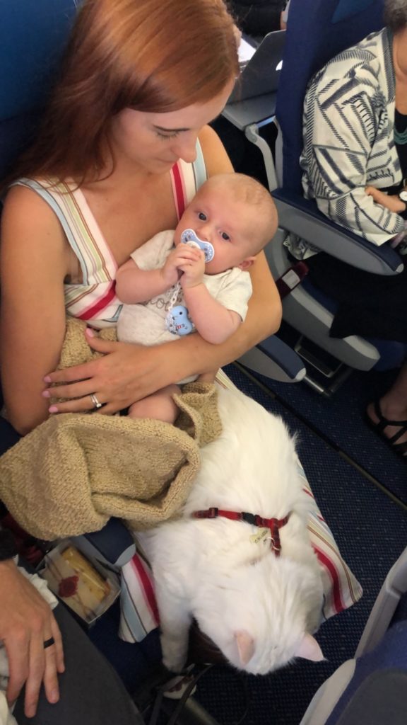 Flying United with a Baby on lap