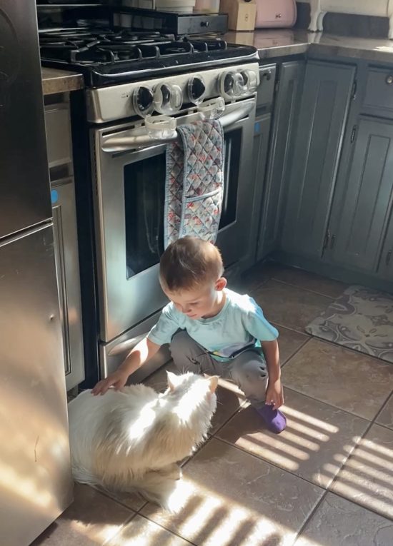 Child playing next to babyproofed gas stove covers