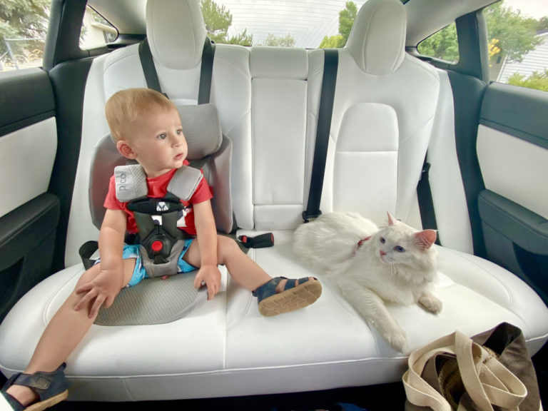 Is WayB Pico the Best Travel Car Seat? We Tested It On 2 Kids